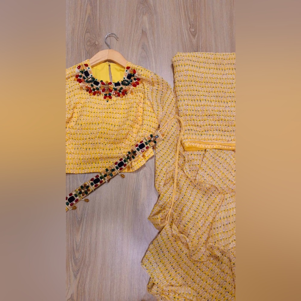Designer Beautiful Ruffle Saree - Picture 5 of 5